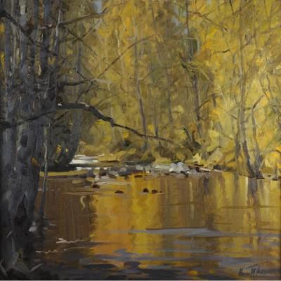 Helen Turner - Reflections on the Stinchar 400 x 400